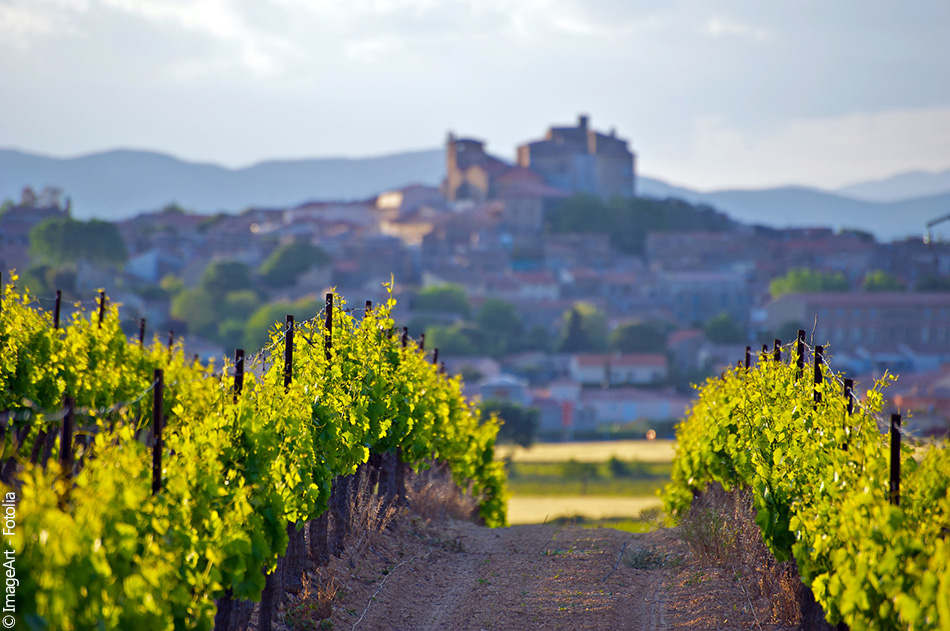 Qu'est-ce qu'un Wine Tour?